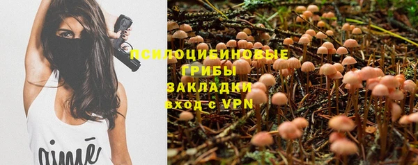 дживик Алексеевка