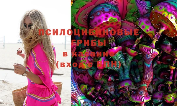 дживик Алексеевка