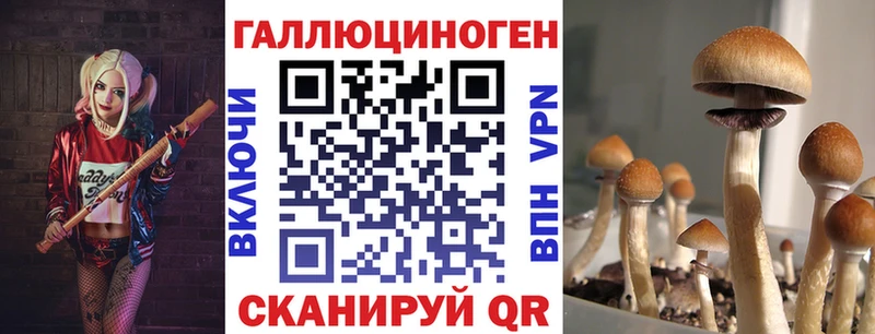 Псилоцибиновые грибы GOLDEN TEACHER  Цивильск 