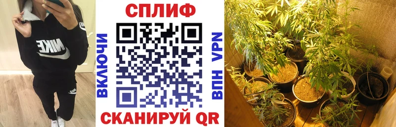 Бошки марихуана ГИДРОПОН сколько стоит Цивильск